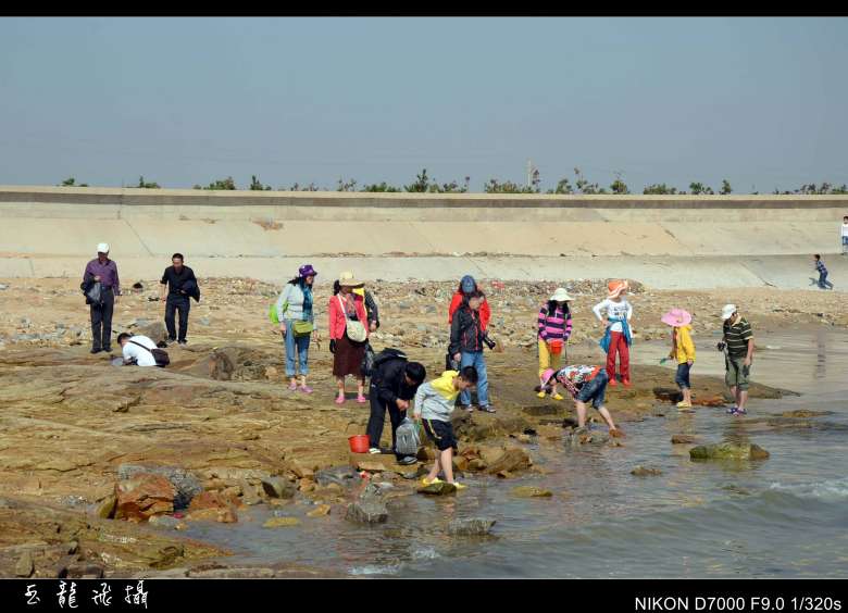dsc_4563_conew1.jpg