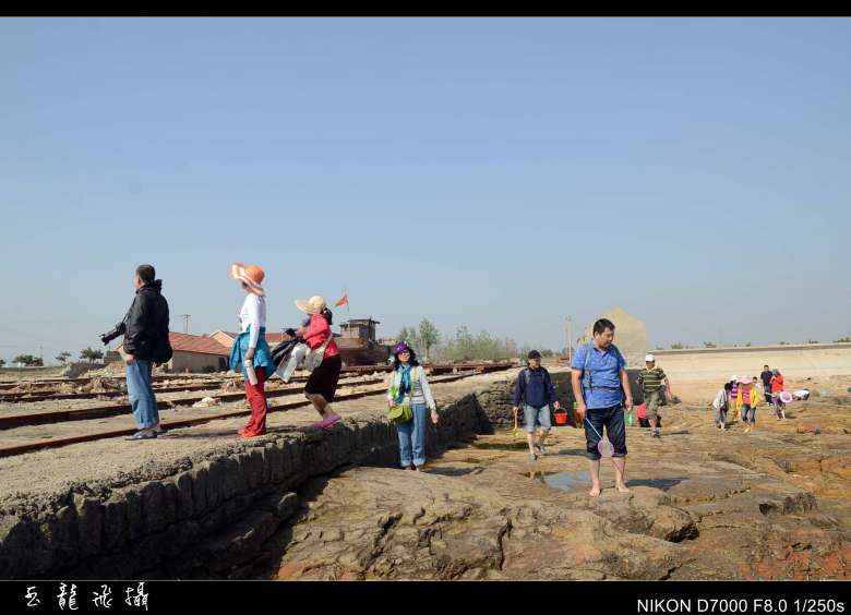 dsc_4566_conew1.jpg