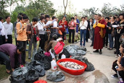 ڳ.jpg