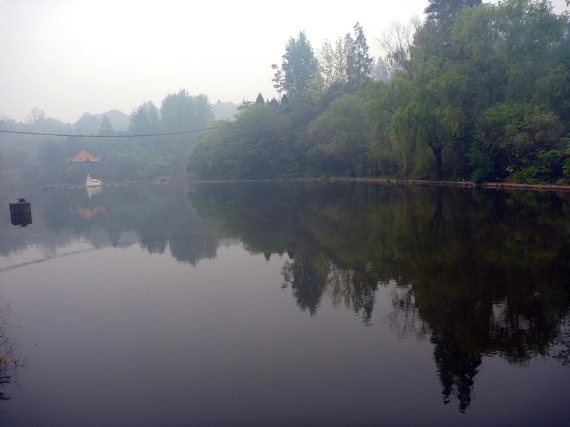 p1130052_.jpg
