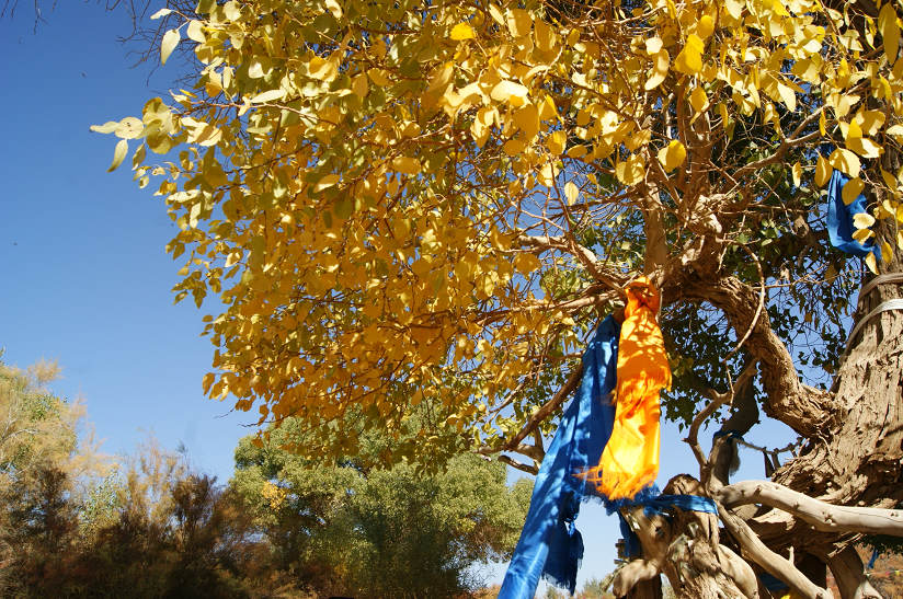 dsc04285.jpg