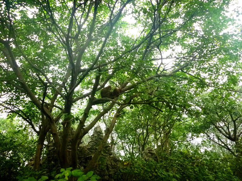 p1130032_.jpg