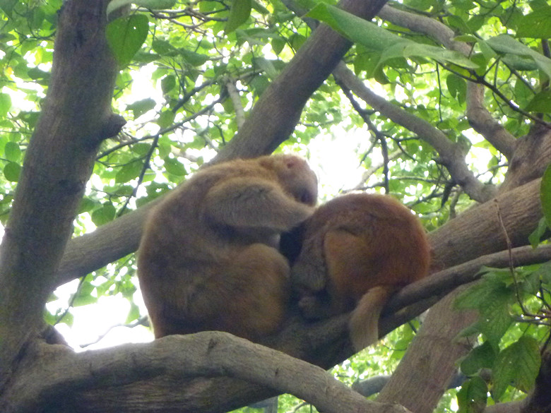 p1130035_.jpg