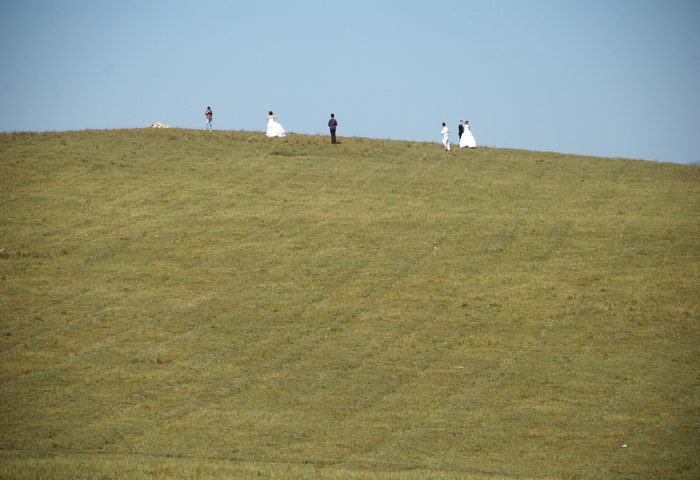 dsc_0208.jpg