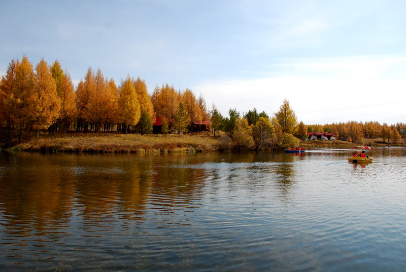 dsc_9893.jpg