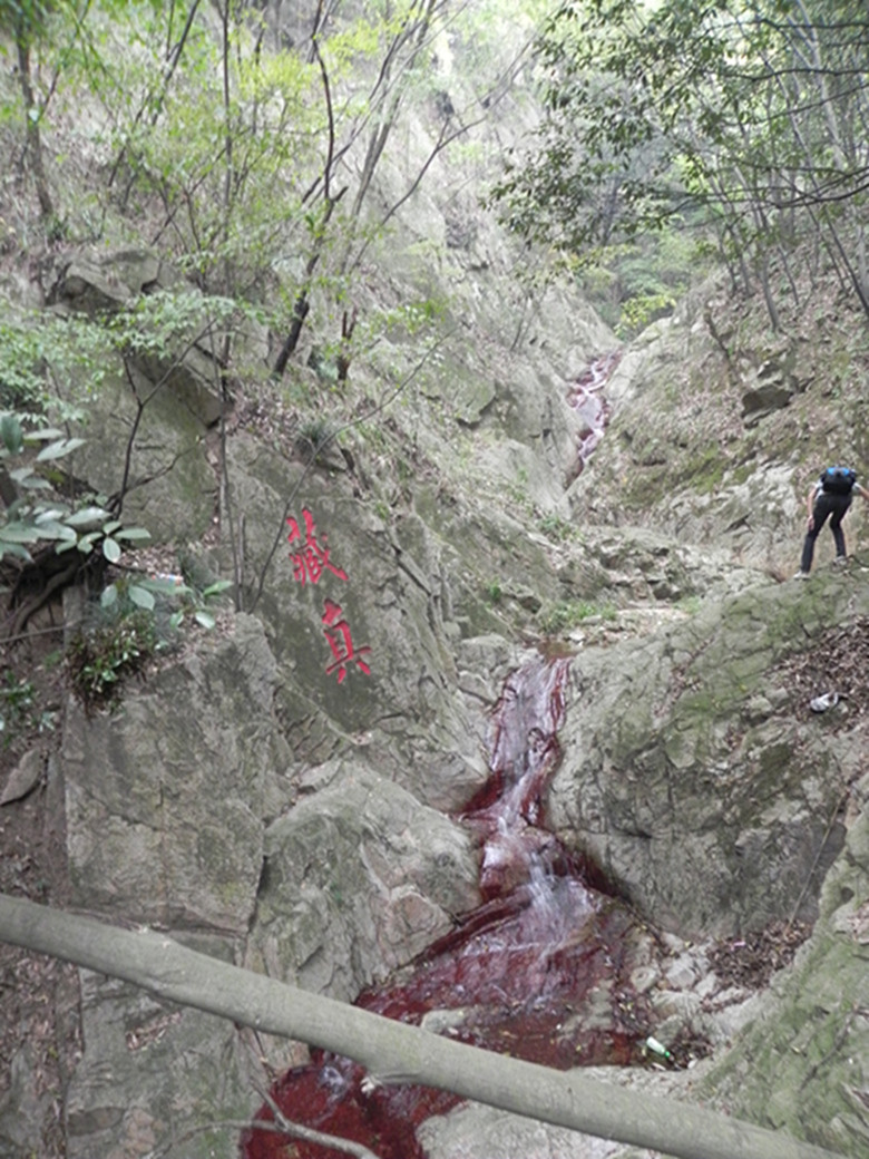 dscn1662__.jpg