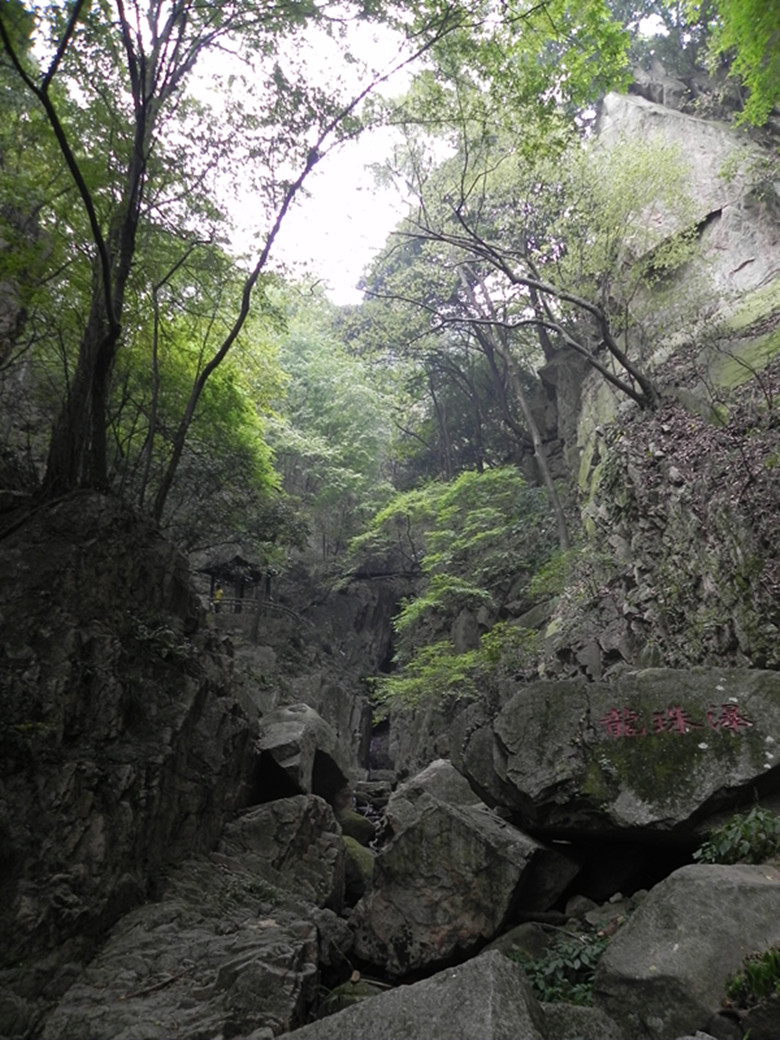 dscn1666_.jpg