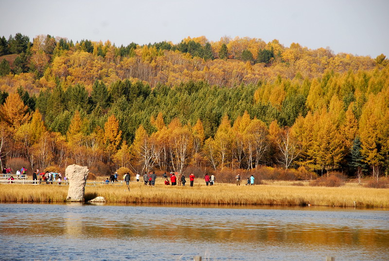 dsc_9862.jpg