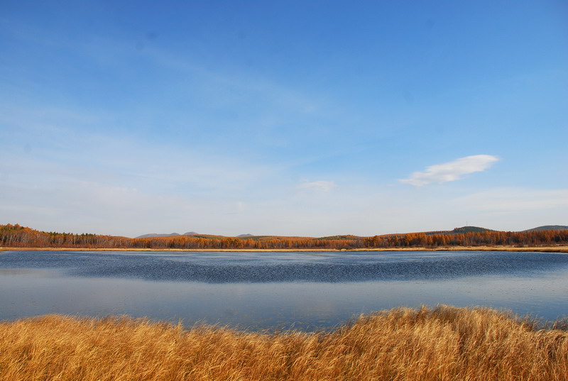 dsc_9864.jpg