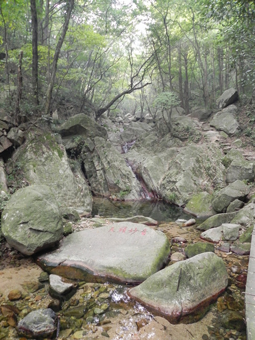 dscn1687_.jpg