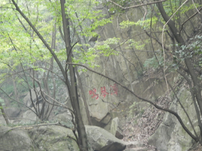 dscn1689_.jpg