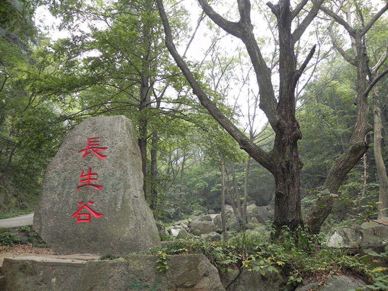 dscn1691_.jpg