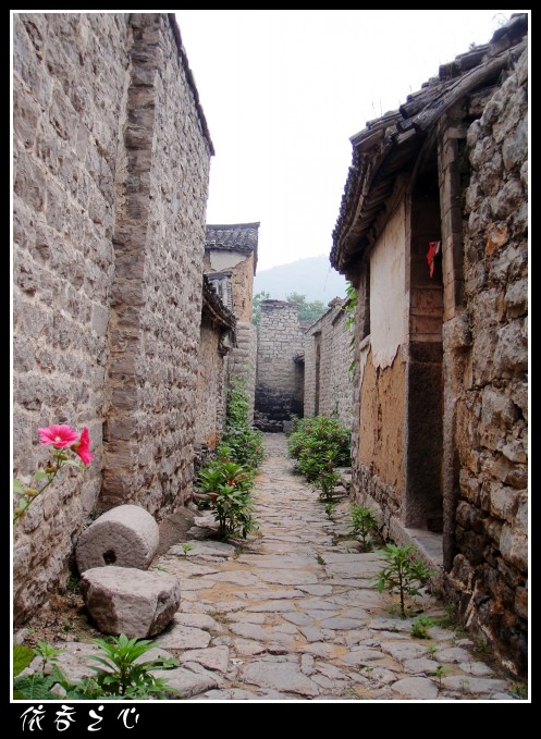dsc06368_conew1.jpg