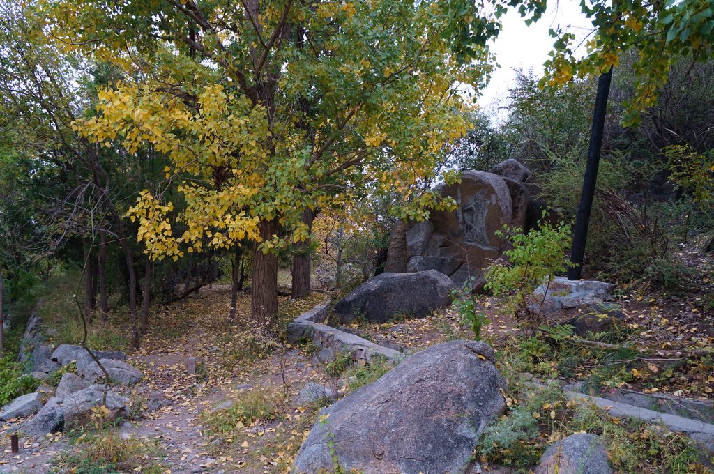dsc05924.jpg