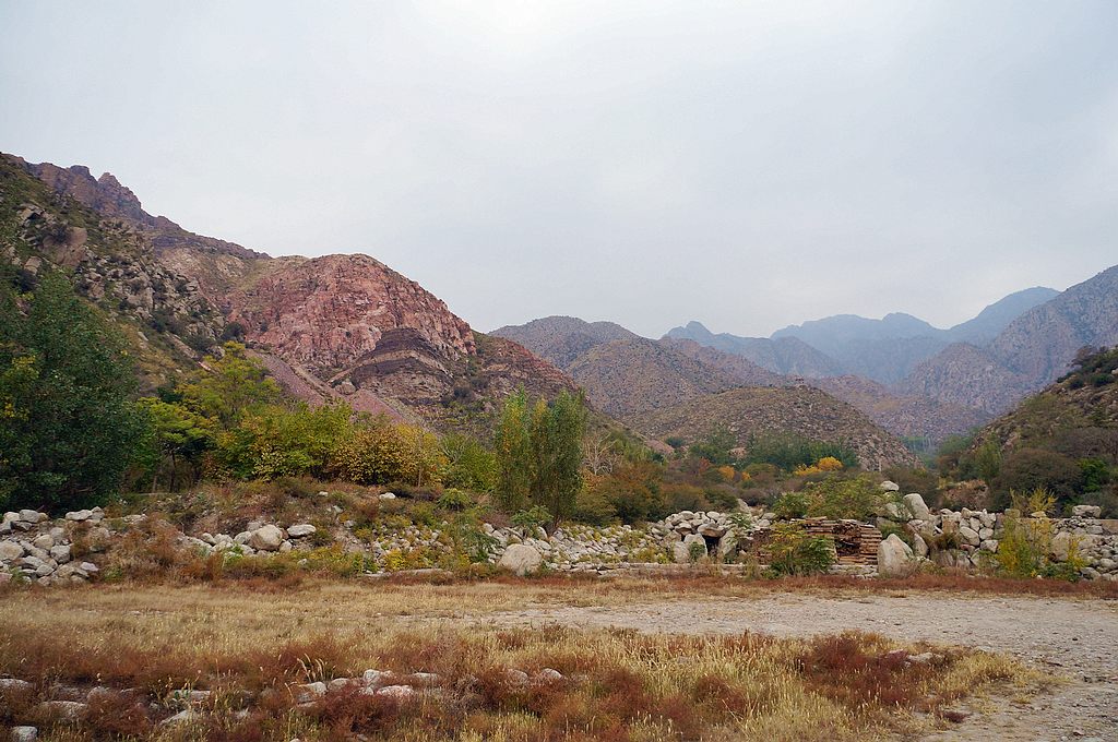 dsc05935.jpg