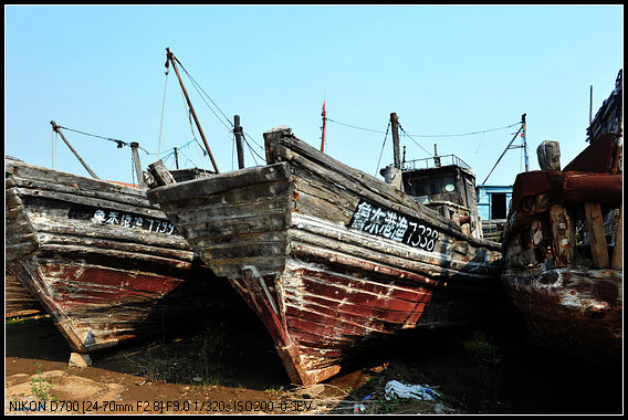 dsc_4599.jpg