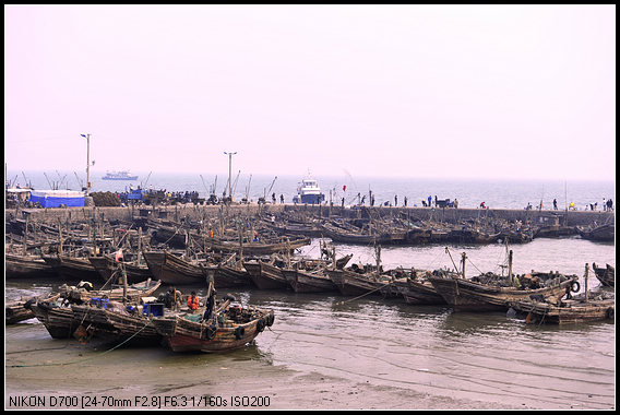 dsc_4605.jpg
