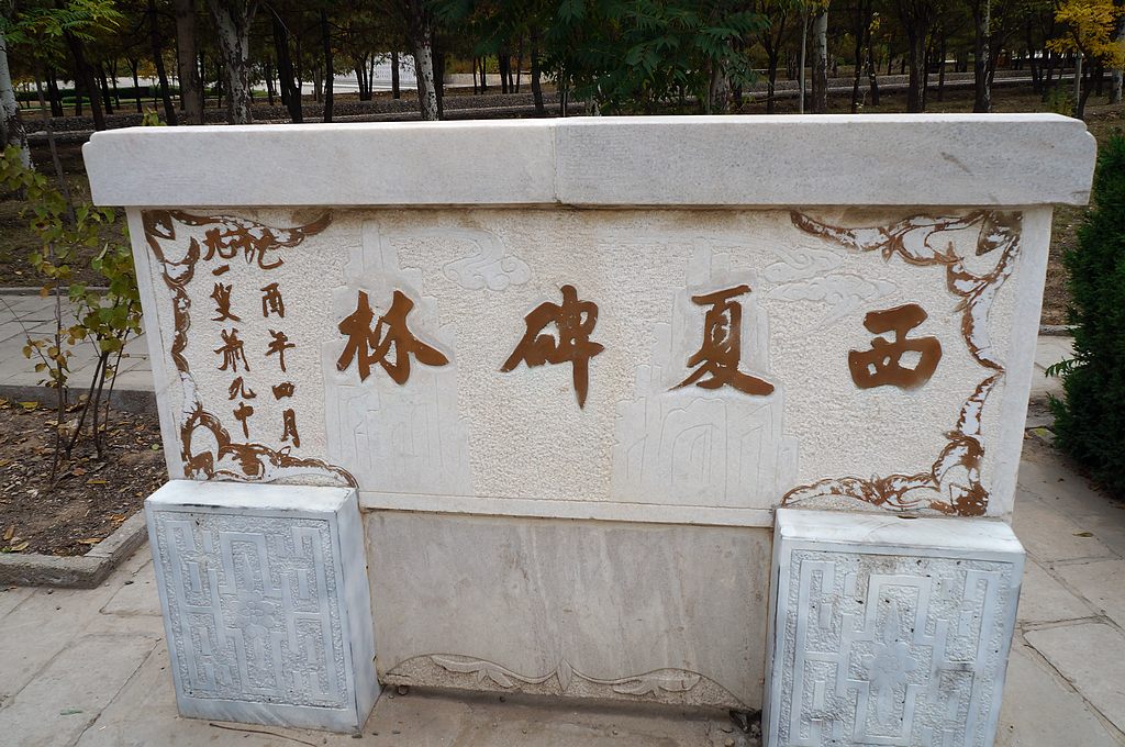 dsc05860.jpg