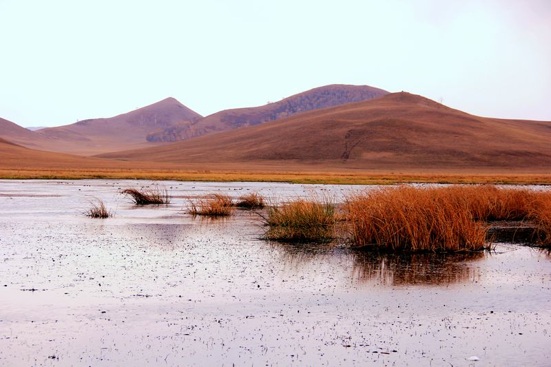 _mg_5900.jpg