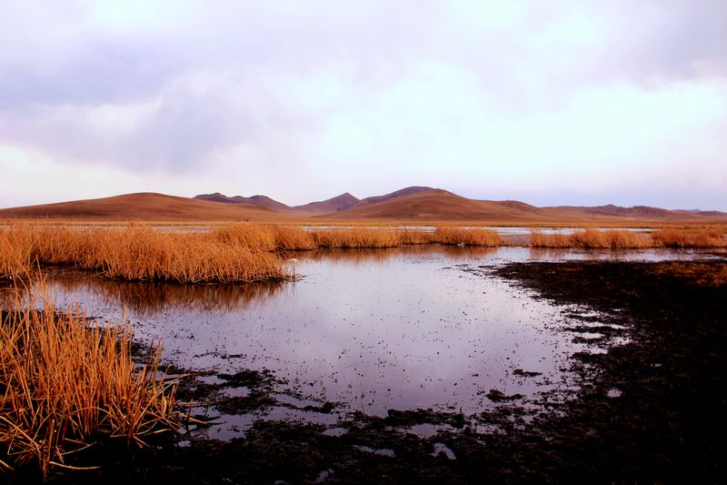 _mg_5927.jpg