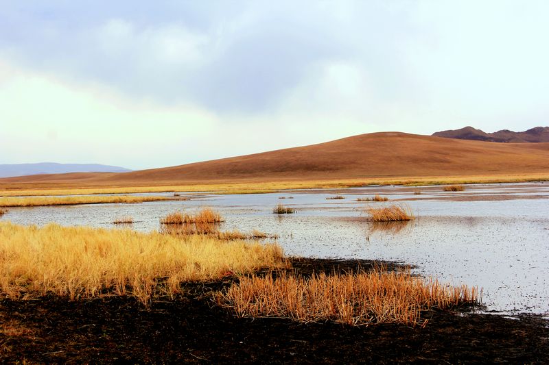 _mg_5934.jpg