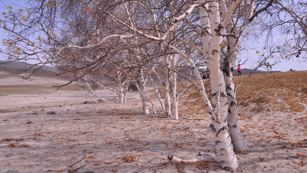 dsc_0521.jpg