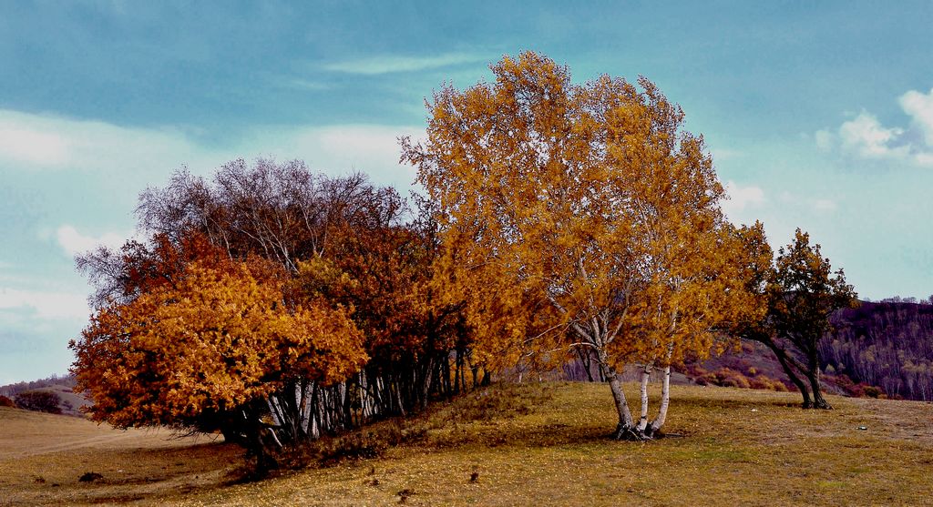 dsc_0423.jpg