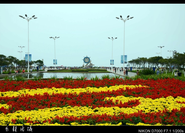 dsc_4953_conew1.jpg