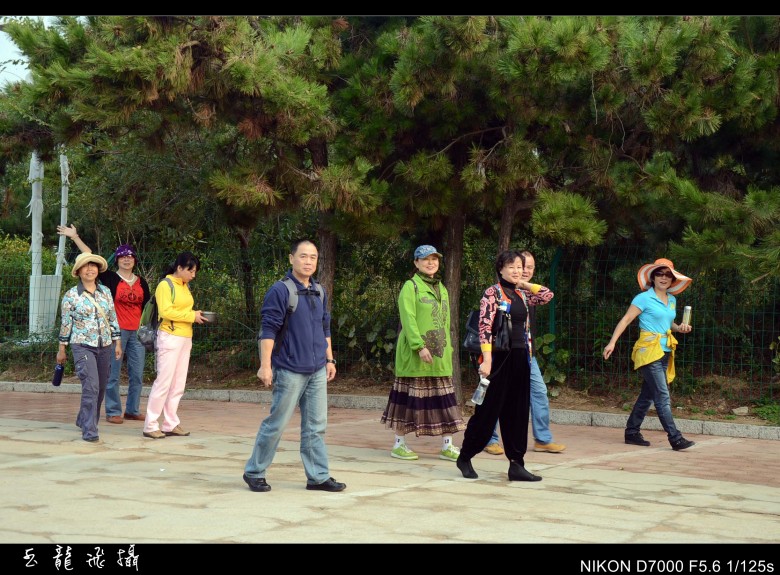 dsc_5003_conew1.jpg