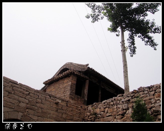 dsc06404_conew1.jpg