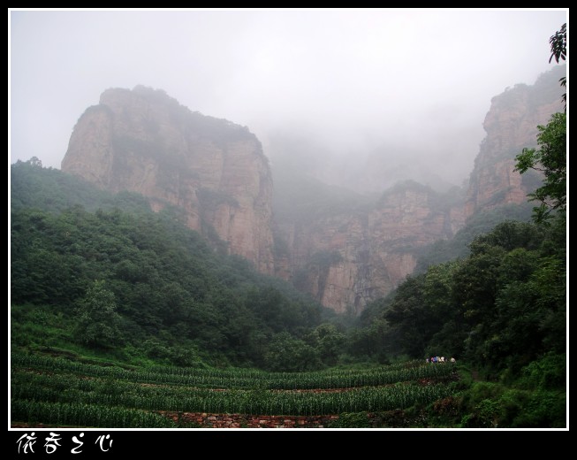 dsc06430_conew1.jpg