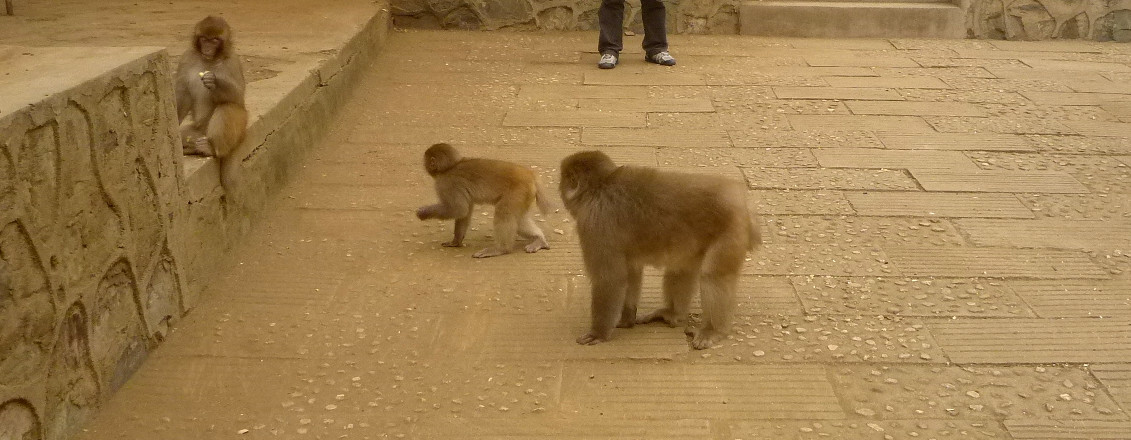 p1130040_.jpg