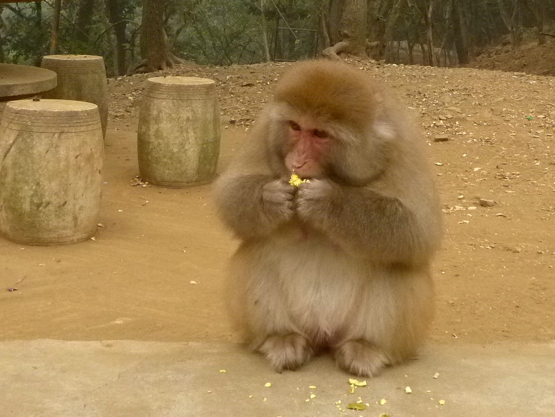 p1130042_.jpg