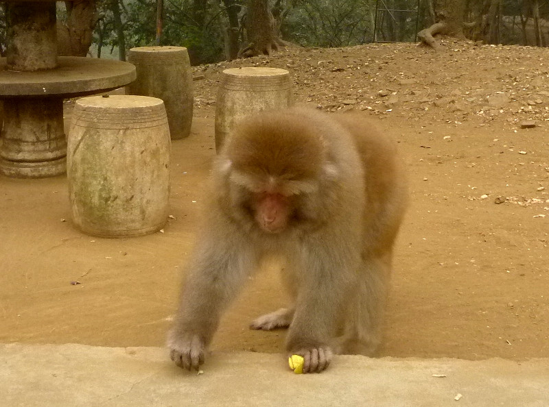 p1130041_.jpg