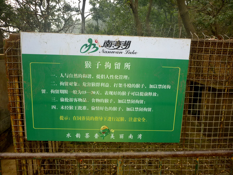 p1130043_.jpg