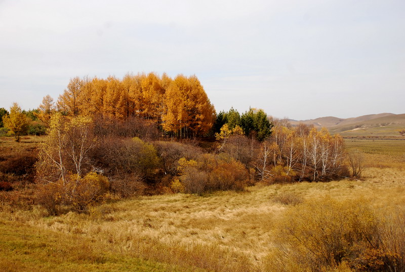 dsc_9975.jpg