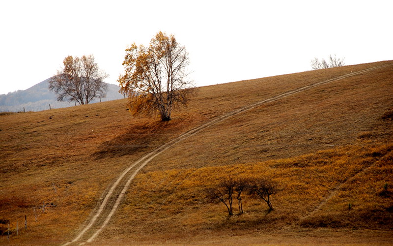 dsc_0035.jpg