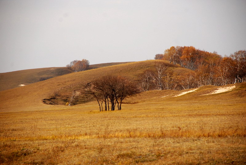 dsc_0049.jpg