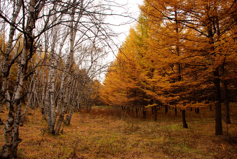 dsc_0067.jpg