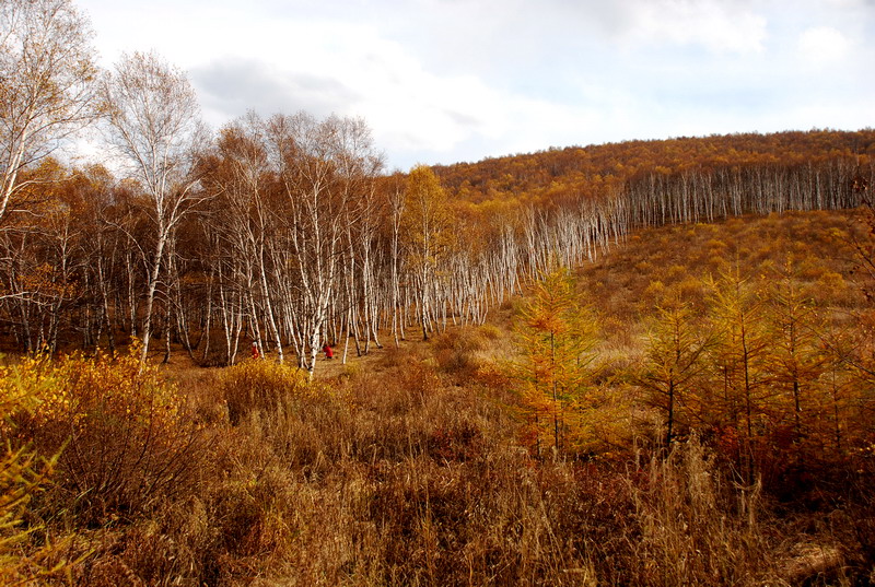 dsc_0099.jpg