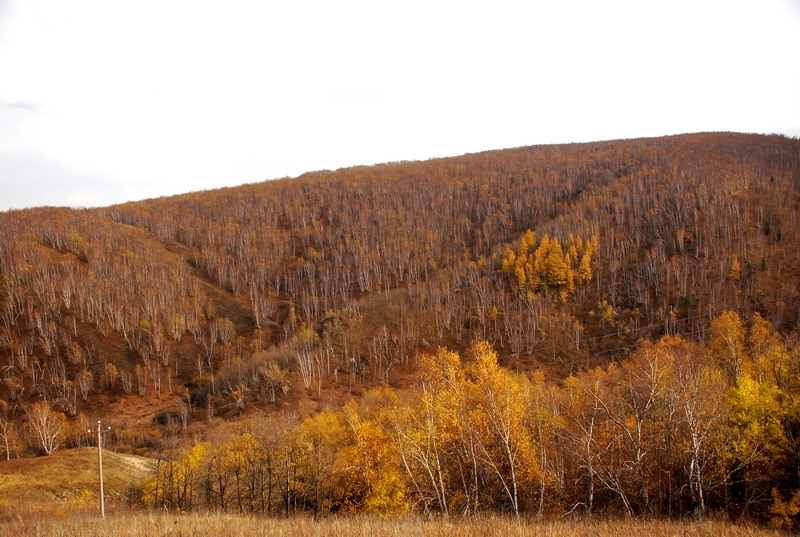 dsc_0106.jpg