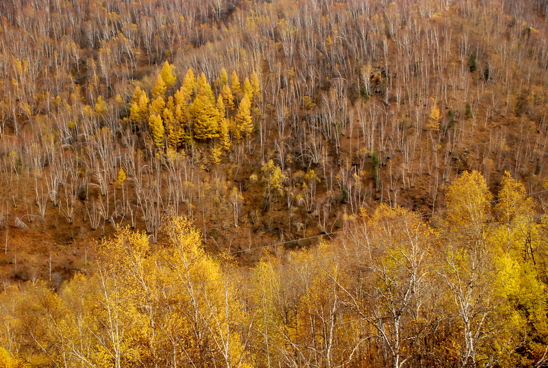dsc_0107.jpg