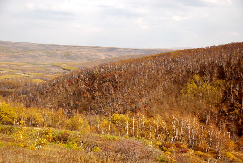 dsc_0109.jpg