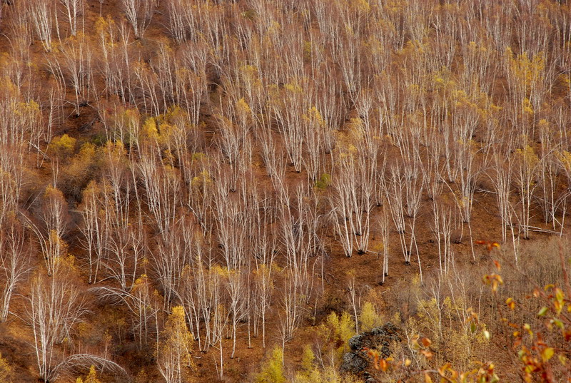 dsc_0122.jpg