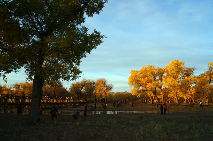 dsc04477.jpg