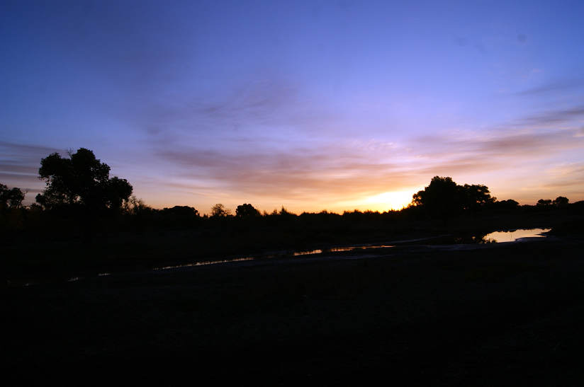 dsc04456.jpg