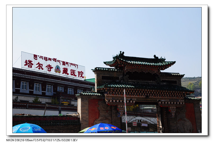 neo_img_dsc_0209.jpg