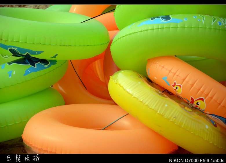 dsc_5191_conew1.jpg