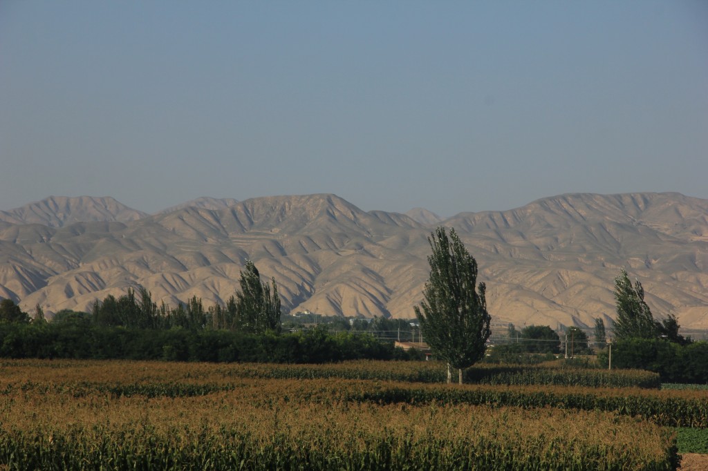 img_1872.jpg