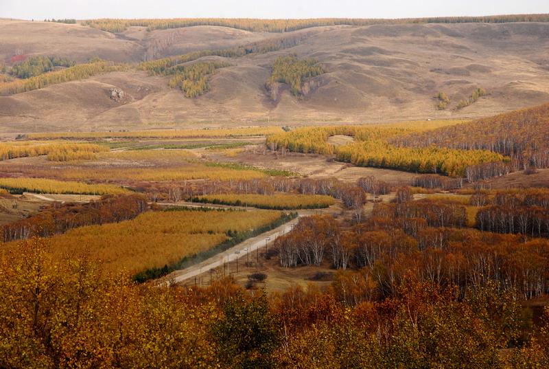 dsc_0136.jpg